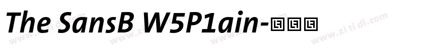 The SansB W5P1ain字体转换